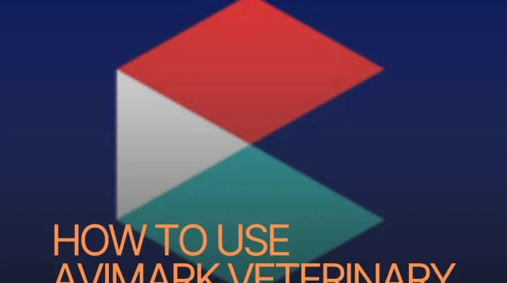 How to Use Avimark Veterinary Software